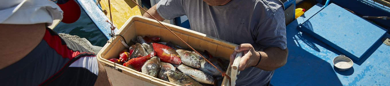 Imagen de una persona sujetando una caja de pescados