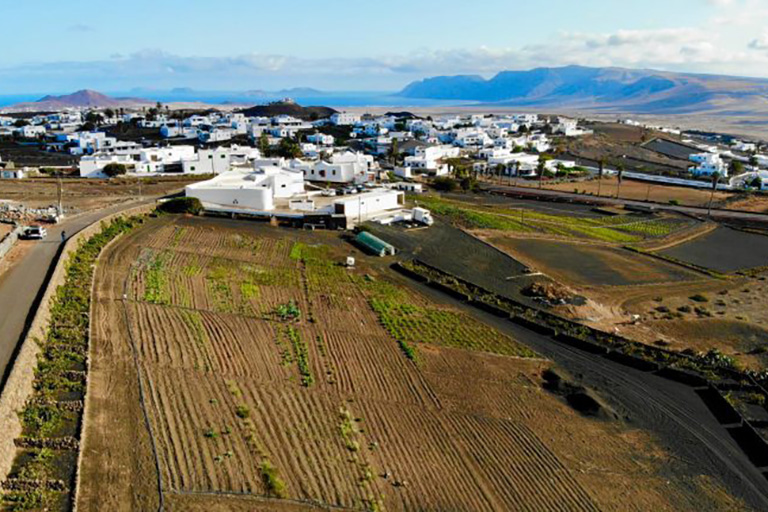 Agricultura forma a los cabildos en las Directrices de Ordenación del Suelo Agrario de Canarias