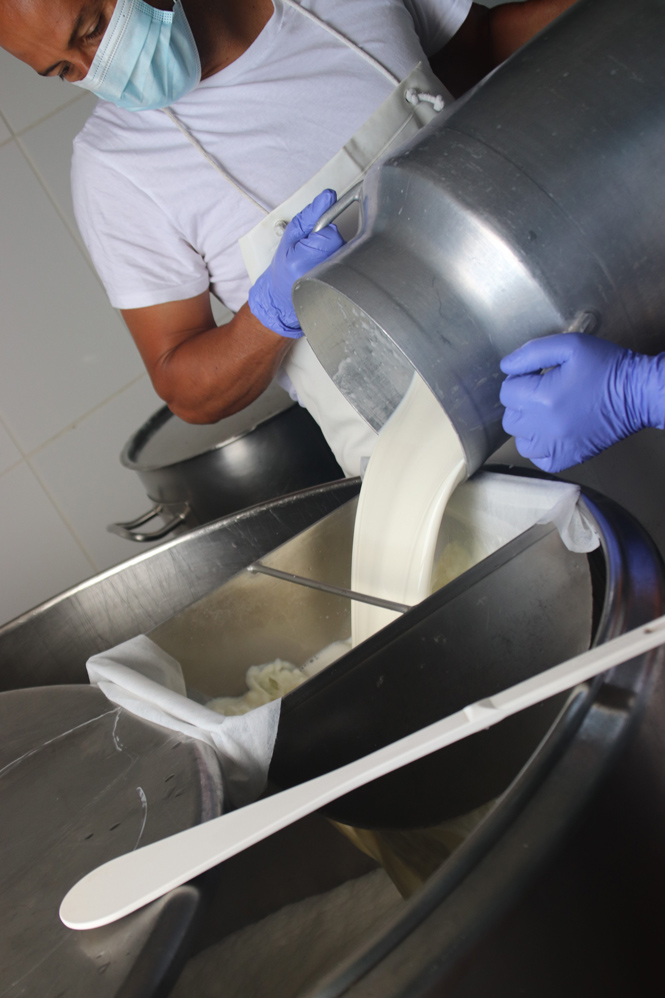 El Gobierno canario convoca ayudas a la industria láctea y a los productores de leche de vaca, cabra y oveja