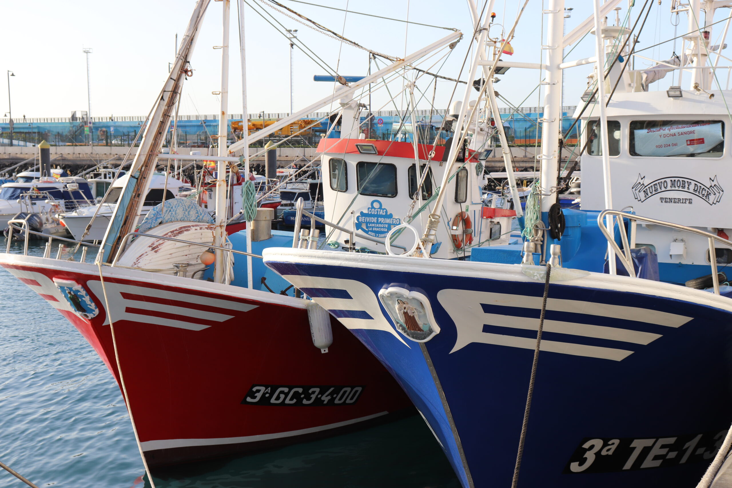 Cierre de la pesquería de tuna para la flota canaria artesanal