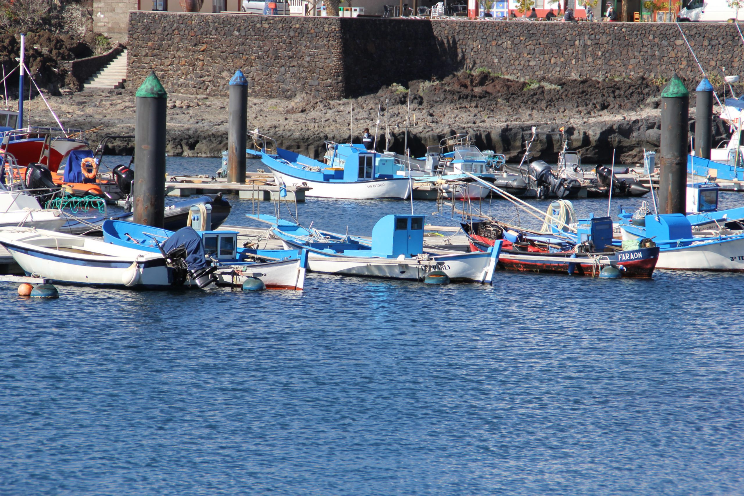 El Gobierno canario concede 7,7 millones de euros para los operadores de pesca artesanal, industrial y la acuicultura