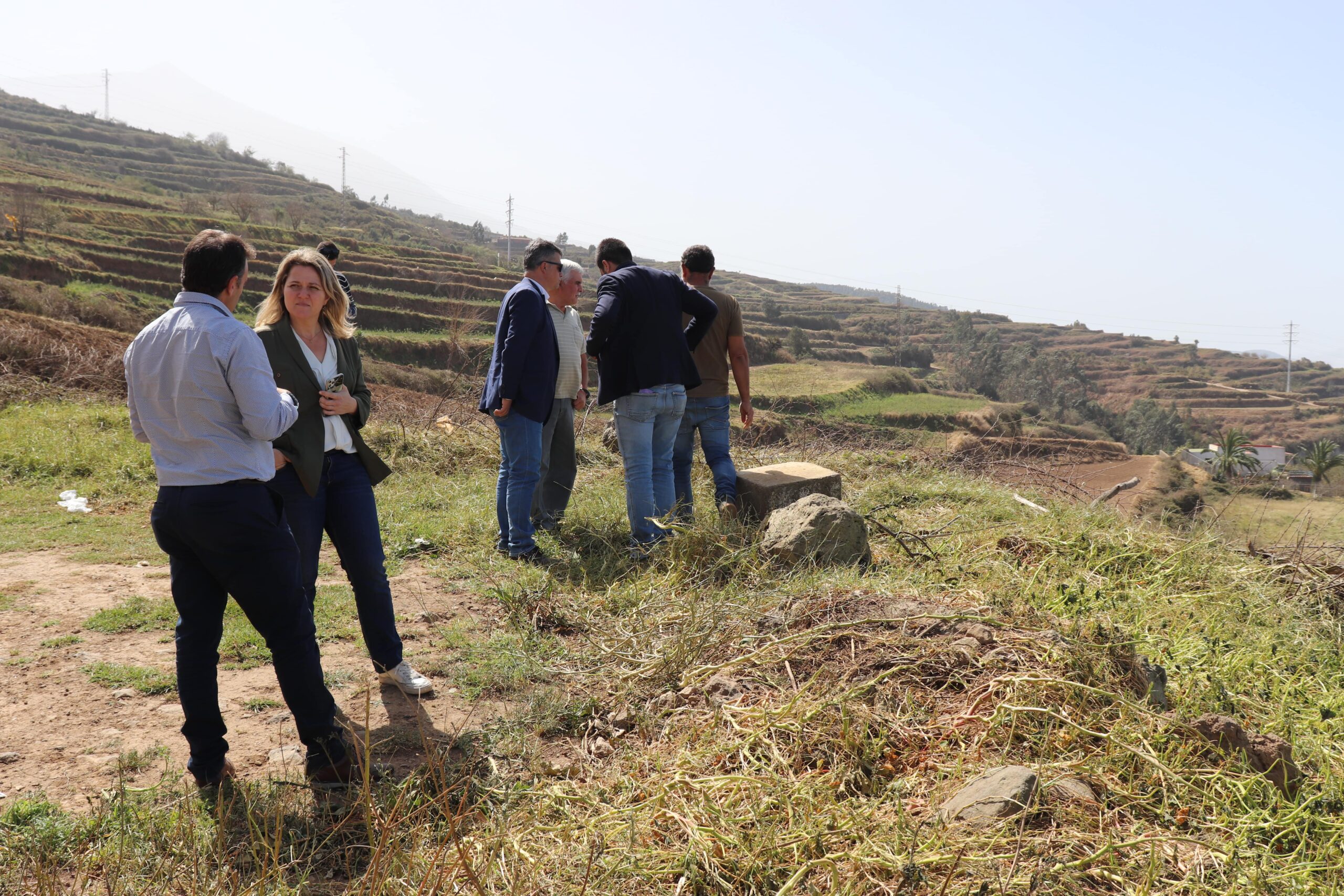 El Gobierno de Canarias concede un millón de euros a 67 agricultores y entidades agrarias afectadas por el temporal de febrero de 2020
