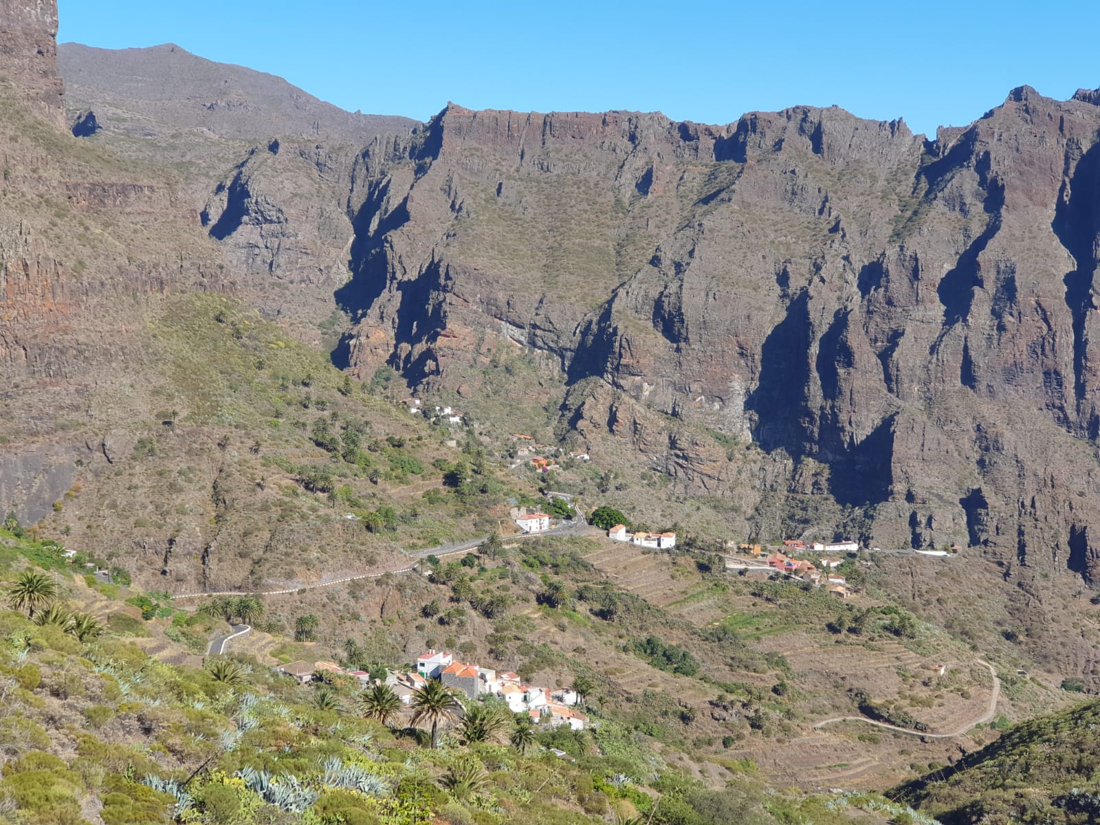 El Gobierno de Canarias aborda la figura de los Parques Agrarios en las Islas