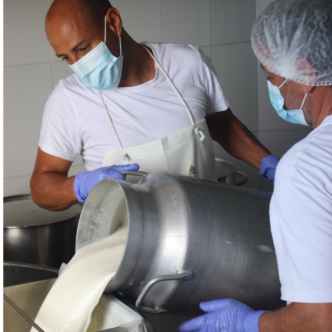 El Gobierno canario abona 23,8 millones de euros al sector lácteo