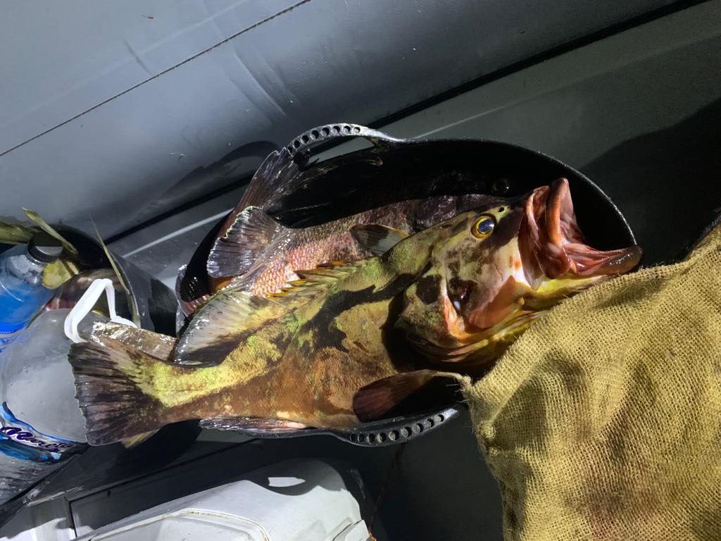 Agentes del Servicio de Inspección Pesquera denuncian a dos pescadores furtivos con 148 kilos de pescado