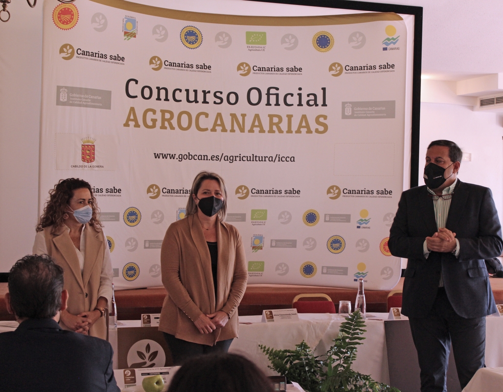 Un total de 21 muestras de 13 almazaras participan en el Concurso de Aceite de Oliva Virgen Extra Agrocanarias