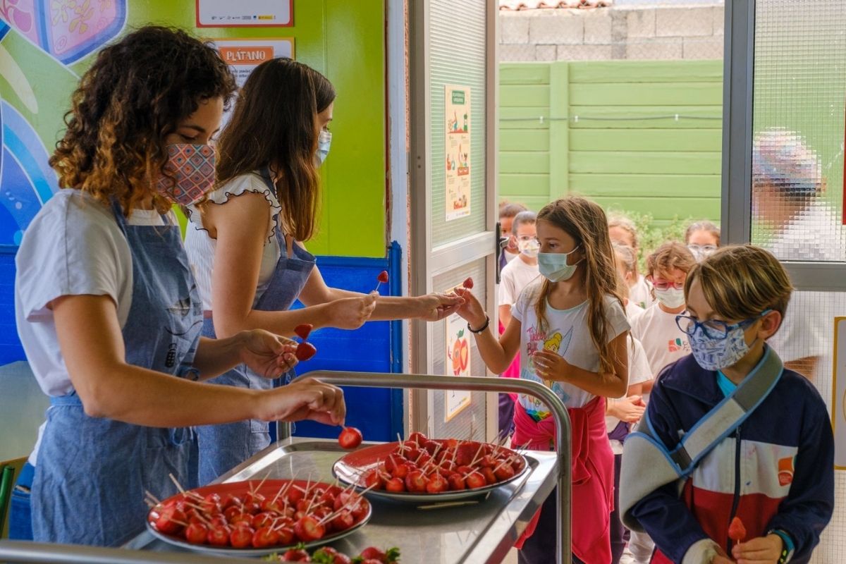 El Gobierno regional promueve el consumo de productos ecológicos, locales y de temporada entre los escolares de Canarias.