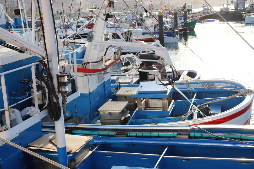 El Gobierno de Canarias defiende ante el Ministerio las reivindicaciones del sector pesquero sobre la tuna