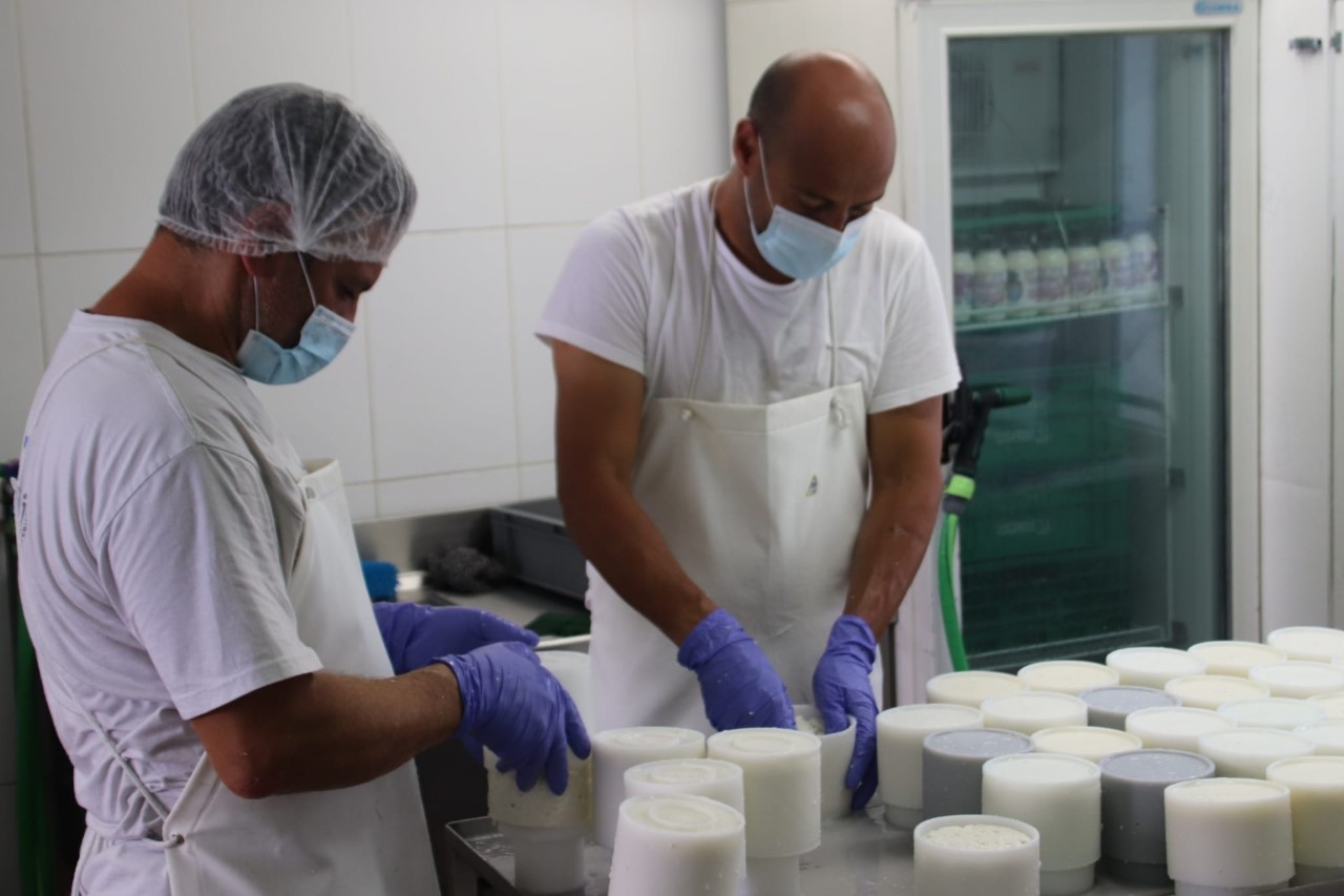 El Gobierno destina más de 3 millones de euros al apoyo de la producción e industria láctea y las queserías artesanales