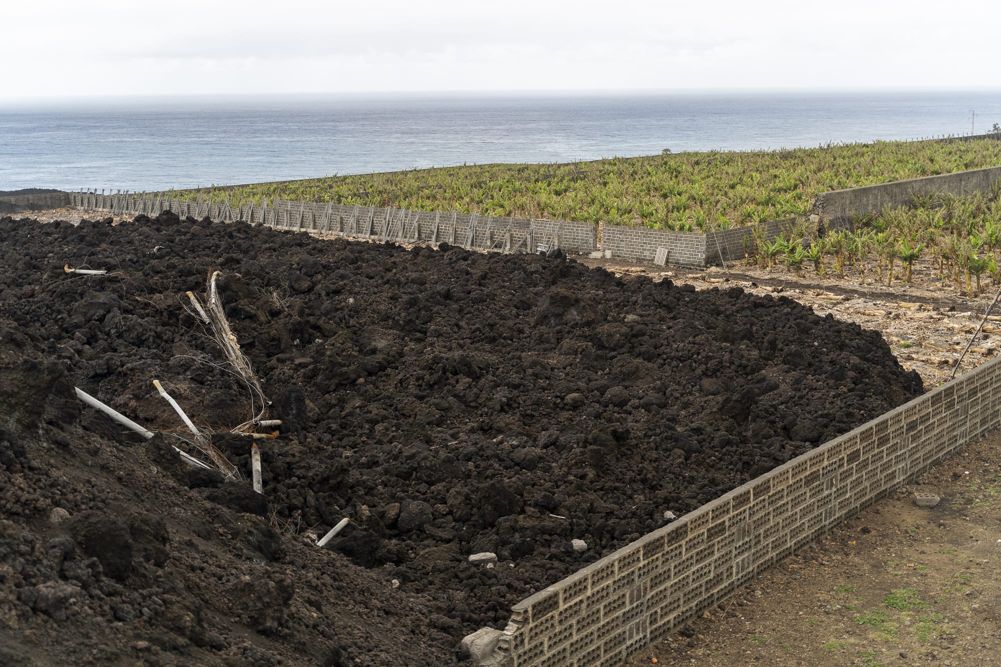 El Gobierno canario finaliza el borrador de decreto ley para la recuperación agraria de La Palma