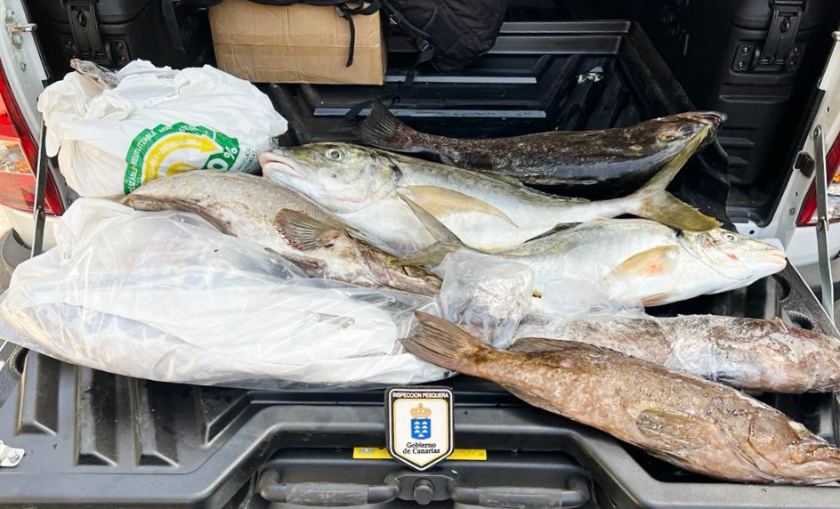 Levantan acta contra unos individuos que intentaban transportar entre islas casi 38 kilos de pescado más de lo permitido