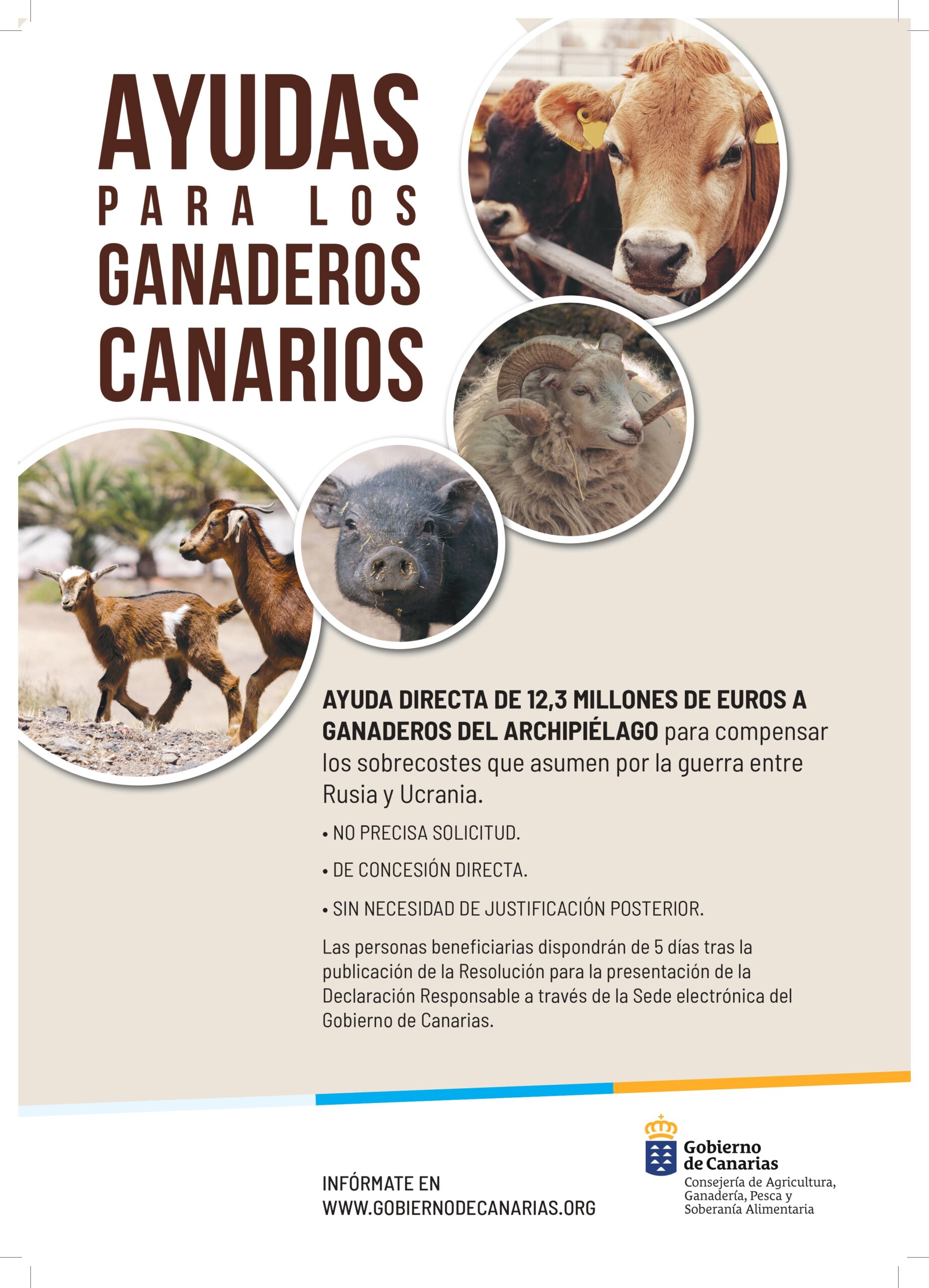 Abierto hasta el 2 de enero el plazo para aceptar la ayuda de 12,3 millones del Gobierno de Canarias a la ganadería