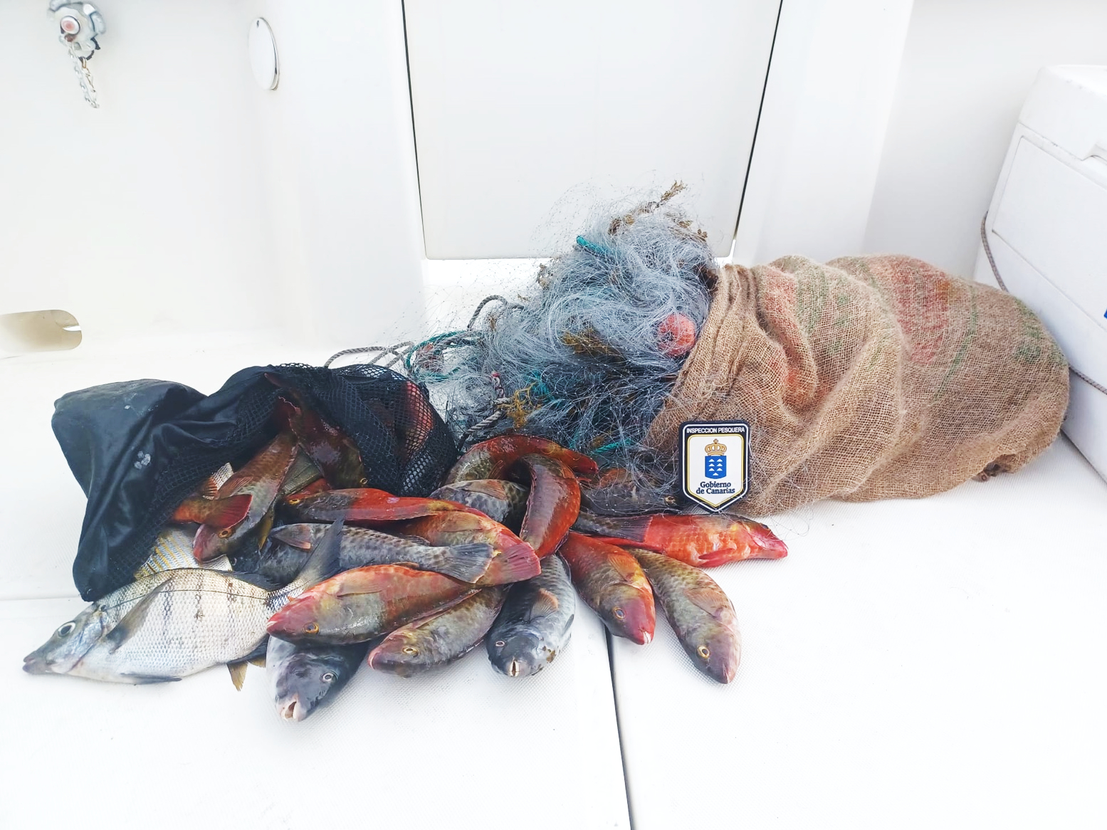 Inspección Pesquera intercepta en Tenerife 10,2 kilos de pescado capturado por furtivos utilizando artes profesionales