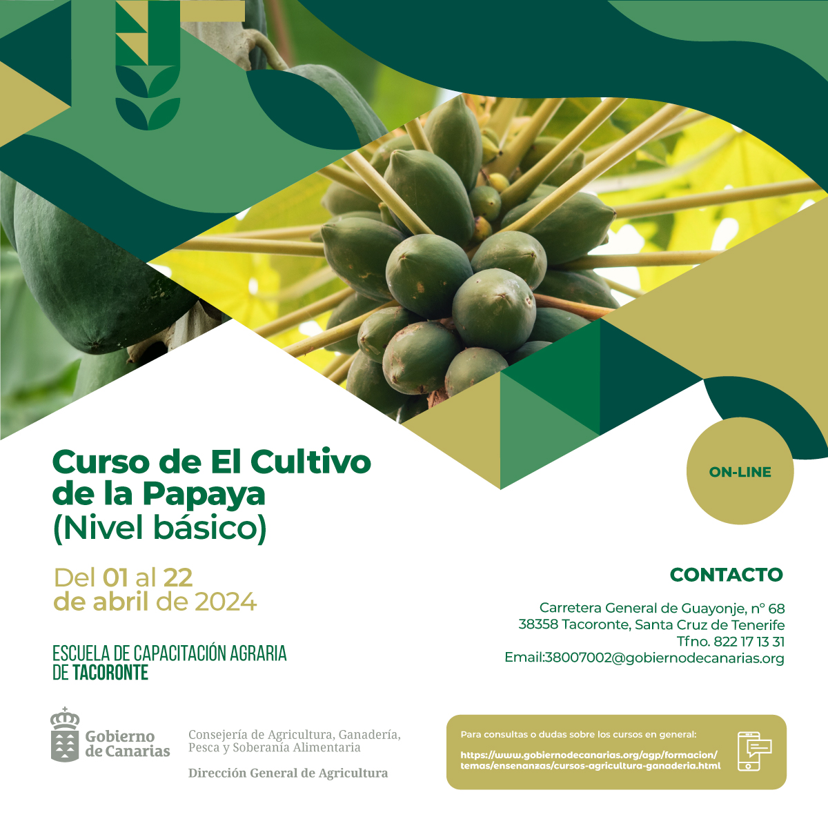 La ECA de Tacoronte ofrece un curso sobre el cultivo de papaya del 1 al 22 de abril