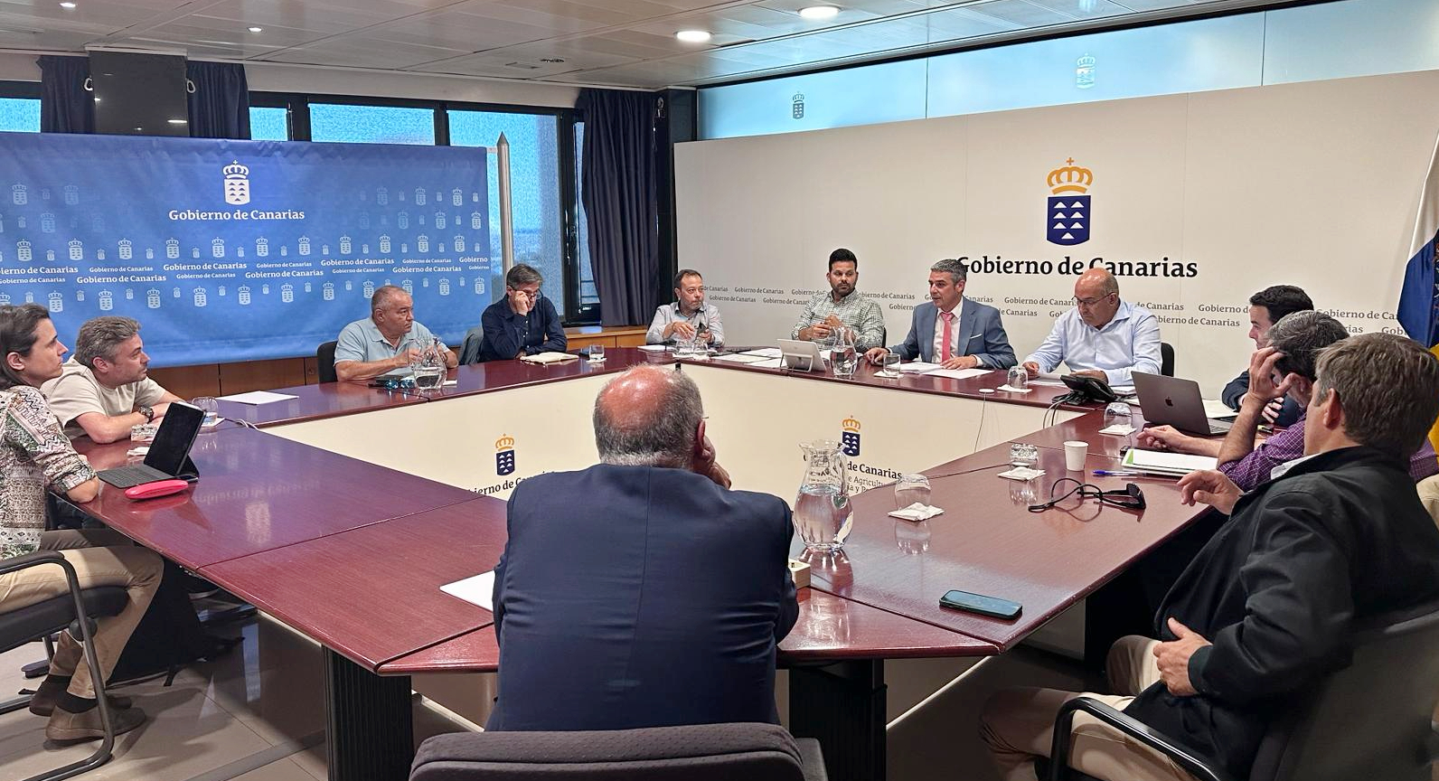 El Gobierno de Canarias y Asprocan acuerdan medidas para asegurar la rentabilidad del sector platanero
