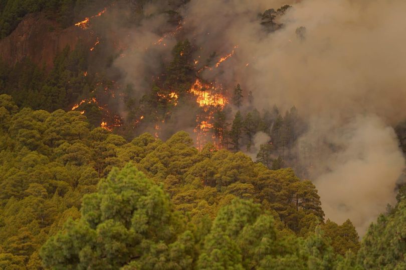 El Gobierno de Canarias convoca subvenciones agrarias por los incendios de La Palma y Tenerife del verano de 2023 y la borrasca de Fuencaliente de 2022
