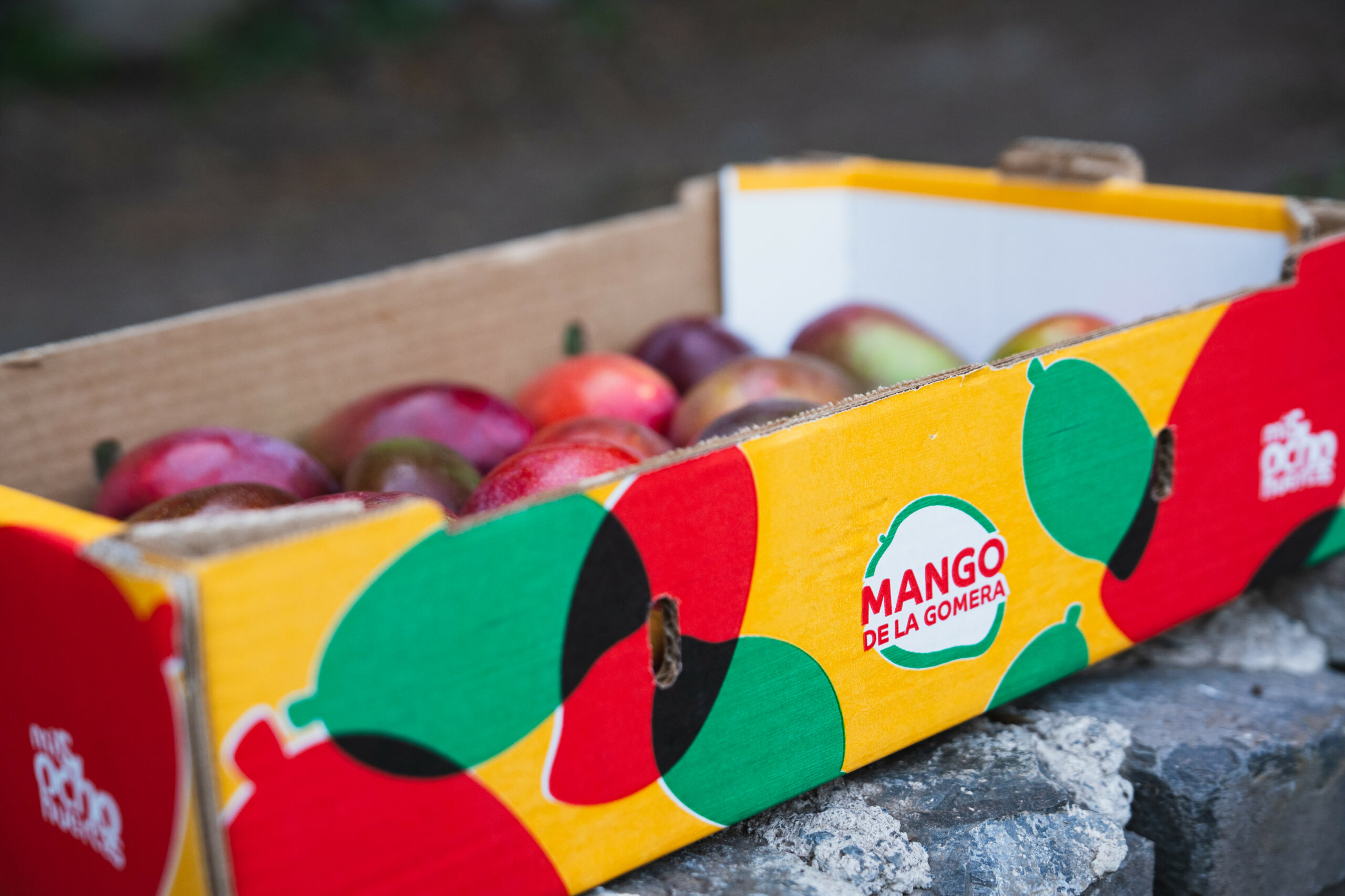 GMR Canarias impulsa la comercialización de más de 100.000 kg de mangos de La Gomera a través de una nueva imagen