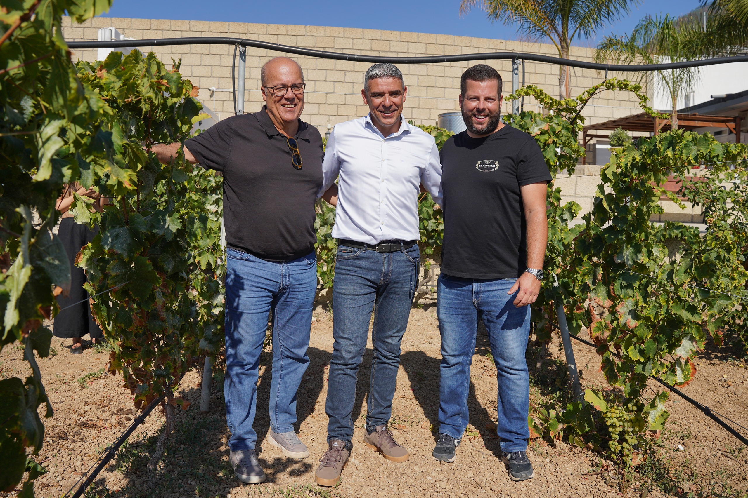 El Rebusco Bodegas se consolida como referente en innovación y diversificación vitivinícola en el Valle de Güímar